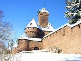 Alsace centrale: le Haut-Koenigsbourg par le GR®5 (67)