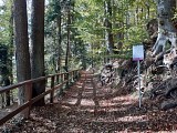 tronçon de la la Promenade circulaire