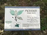 Arboretum