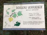 Arboretum