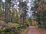 Arboretum
