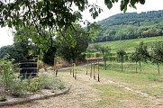 Sentier des Murailles et des Vignes - Châtenois