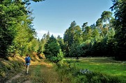 Au cœur de la nature