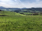 Circuit rando - sur les hauteurs d'Orbey