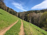 Circuit rando - sur les hauteurs d'Orbey