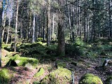 Circuit rando - sur les hauteurs d'Orbey