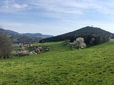 Circuit rando - sur les hauteurs d'Orbey