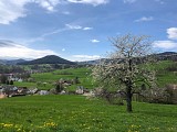 Circuit rando - sur les hauteurs d'Orbey