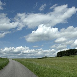 Au travers du Parc Naturel Haute-Sûre Forêt d'Anlier