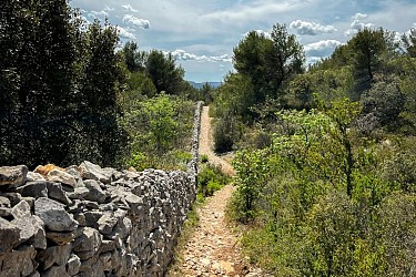 CABRIÈRES D’AVIGNON - De la Cédraie au Mur de la Peste