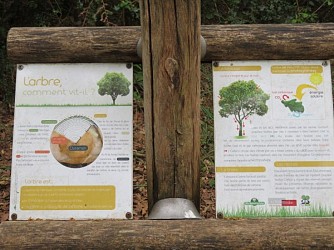 Balade à roulettes : La forêt du Taillan 2