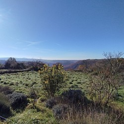 Boucle du village - Saint André de Najac