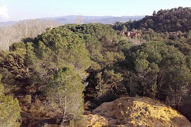ROUSSILLON - Balade du Bois de Saint Jean