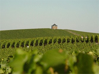 image du circuit