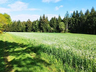 Le sentier des bois de Verneugheol