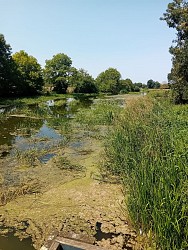 Saint-Amand-sur-Sèvre : circuit n°3