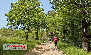 Etape Salles Courbatiès - Villeneuve d'Aveyron GR®62B - Chemin de Conques à Toulouse