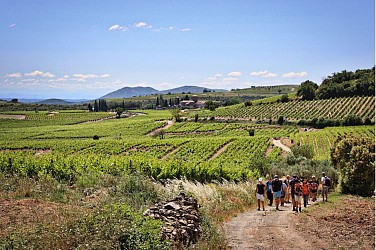 OENORANDO® NATURE ET CULTURE À FAUGÈRES