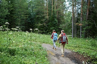 Les bois de la Chapelle