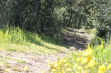 Charay - marche nordique