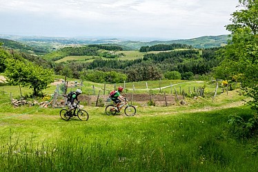 Lalouvesc - Tournon sur Rhône difficult