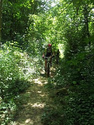 La combe Oternaud et le Bois de Sizay