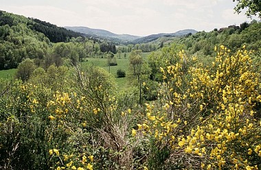 Le Moulin de Maninet