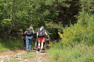 Tour d'Arthemonay