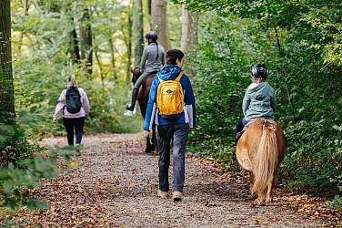 Walk around the Marais-Pond