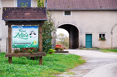 De la Ferme aux Pâturages