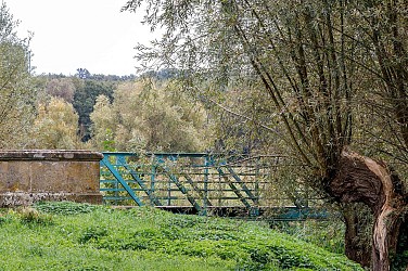 Colchiques et Marais