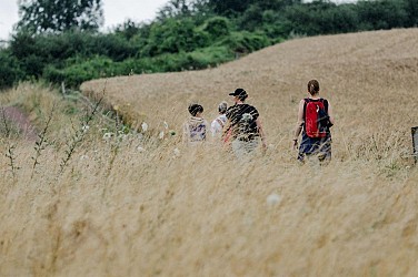 Du Green à la Forêt