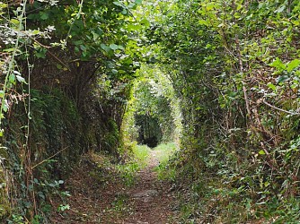 Circuit VTT N°43 CC : D’Ahun à Masgot en passant par Chamberaud