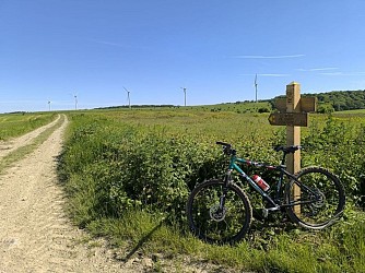 Balade vel'art Au trait des coteaux