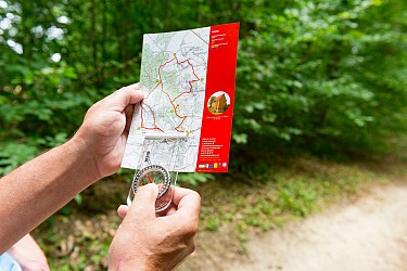 La Vandélicourtoise (variante)