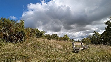 The flower-covered hill