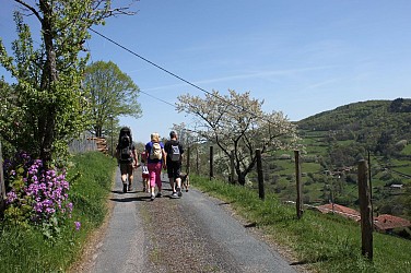 Randonnée pédestre "Les Terres de Barmont"
