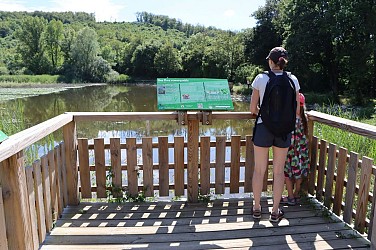 Balade pédestre en famille autour de l'étang de Chalignieu