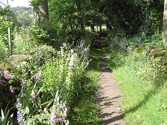 Chemin de l'Osmonde Royale (équestre)