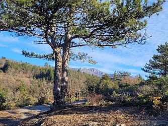 RANDONNÉE DE GAILLERGUES À ST VINCENT