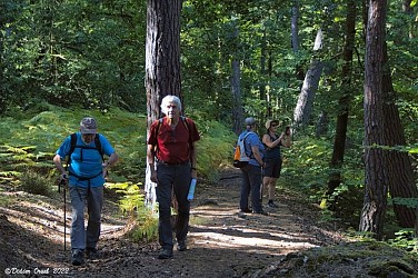 Forêt et vallée de l'Eure