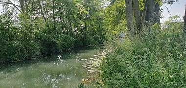 Walk - Molière and Vial marshes