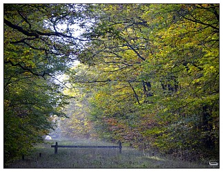 Circuit de l'Emerillon