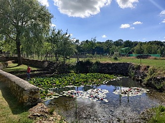 Parcours découverte : Chavagné
