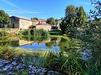 Parcours découverte : Tressauve
