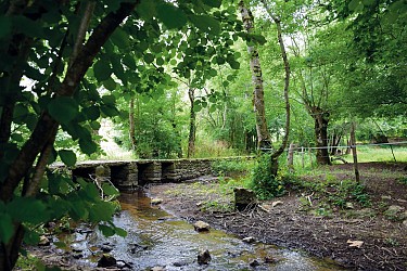Parcours découverte : Bougouin