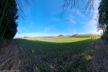 Sur Les Pas d’Innocent VI