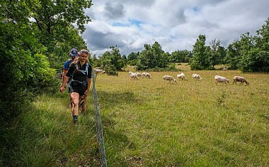 A la découverte du Larzac à pied