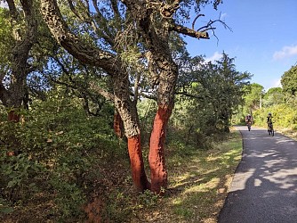 EUROVELO 8 (en direction des Albères -> Le Boulou)