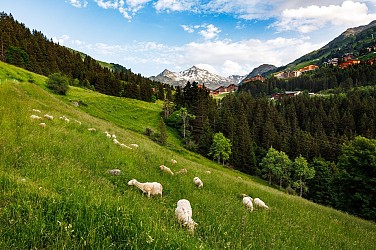 V4 - Petite Rosière - from Méribel